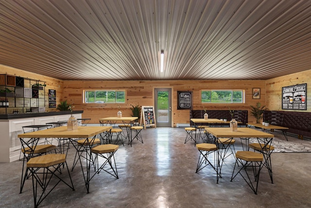 dining room featuring a wealth of natural light