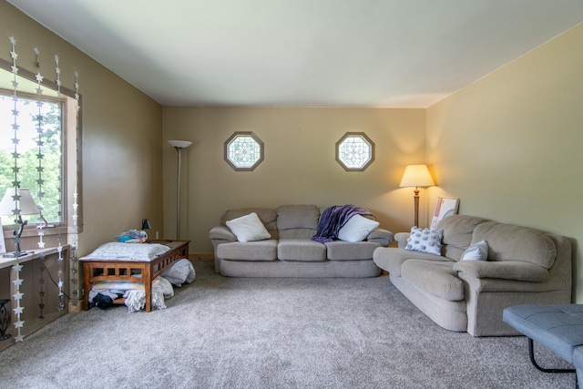 living room with carpet floors