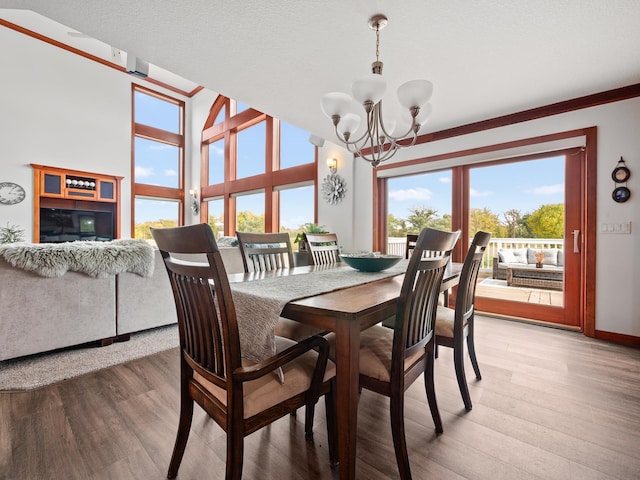 1599 Donway Ct NE, Alexandria, MN 56308 - dining area featuring a chandelier, light wood-style floors, and healthy amount of natural light