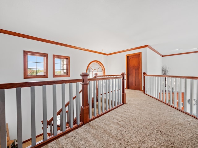 1599 Donway Ct NE, Alexandria, MN 56308 - hallway featuring carpet floors and ornamental molding