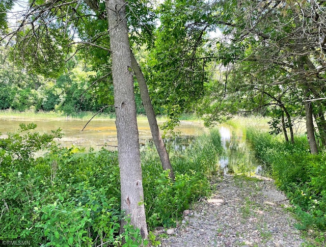 view of yard with a water view