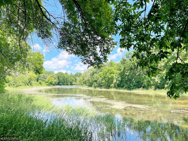 water view featuring a wooded view