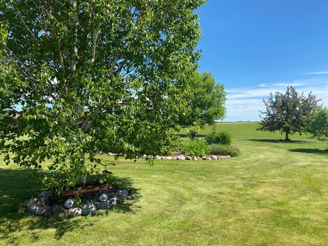 view of yard featuring a rural view