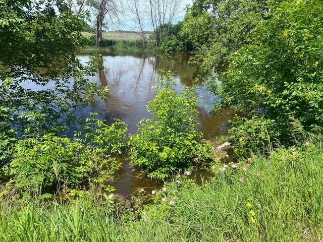 view of water feature