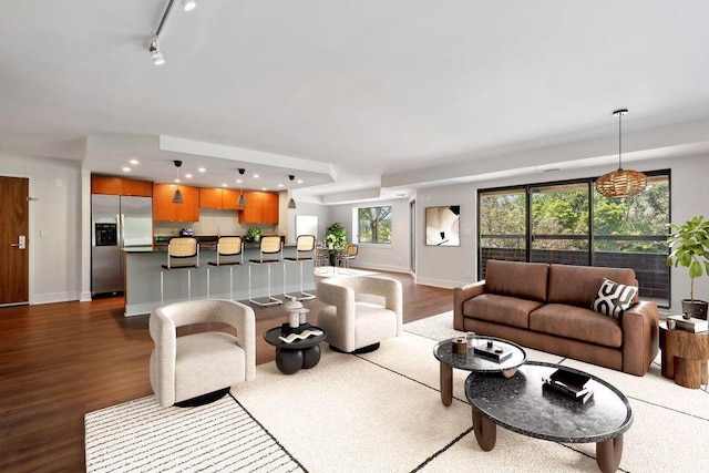 living room with wood-type flooring