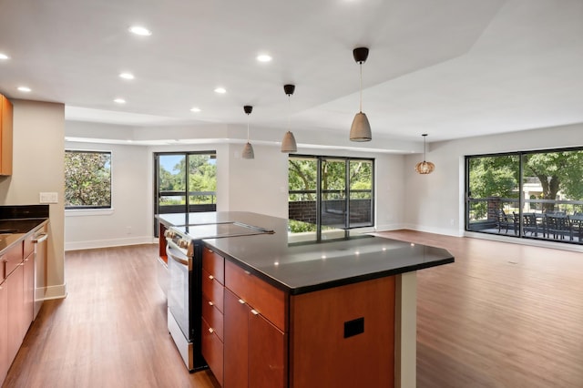 kitchen with pendant lighting, stainless steel appliances, and light hardwood / wood-style flooring