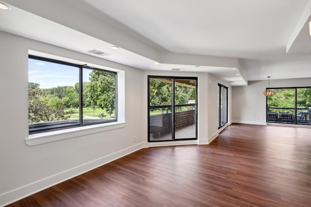 spare room featuring dark wood-type flooring and plenty of natural light