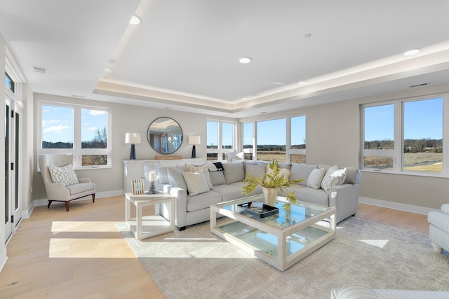 living room with light hardwood / wood-style floors and a raised ceiling