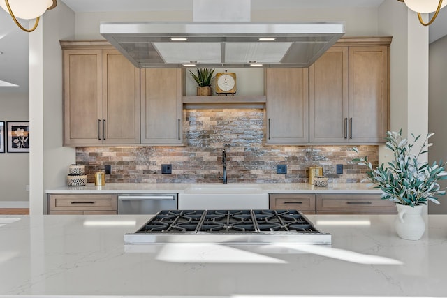 kitchen featuring backsplash, appliances with stainless steel finishes, sink, and exhaust hood