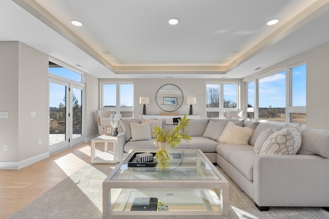 living room with a raised ceiling, light hardwood / wood-style flooring, and a wealth of natural light