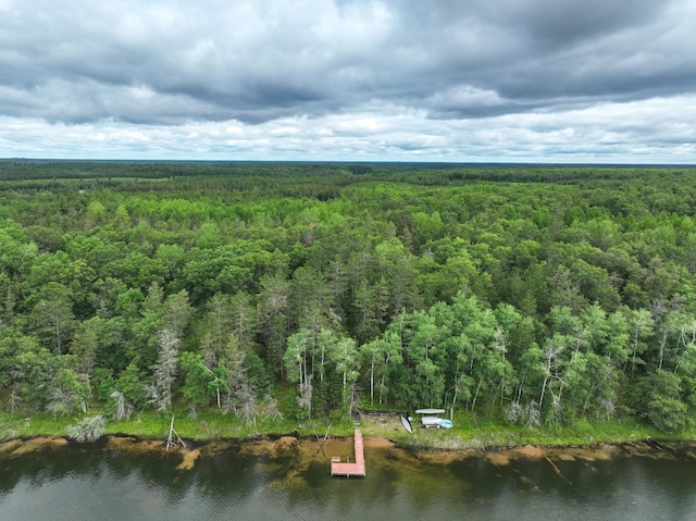 drone / aerial view featuring a wooded view and a water view