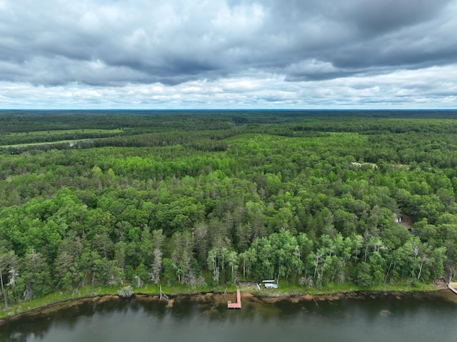 birds eye view of property featuring a forest view and a water view