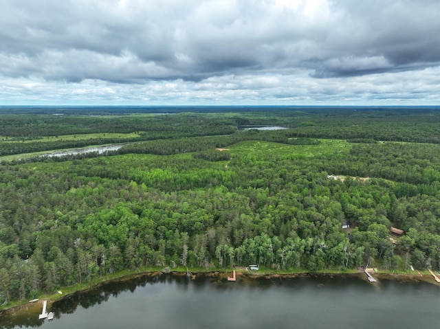 drone / aerial view featuring a water view and a forest view