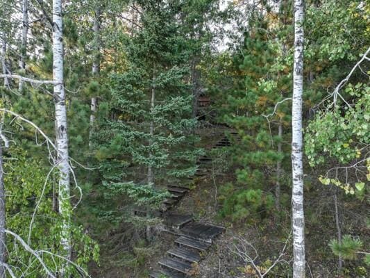 view of nature with a forest view