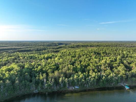 bird's eye view with a water view and a forest view