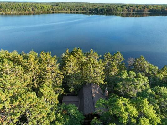 bird's eye view with a wooded view and a water view