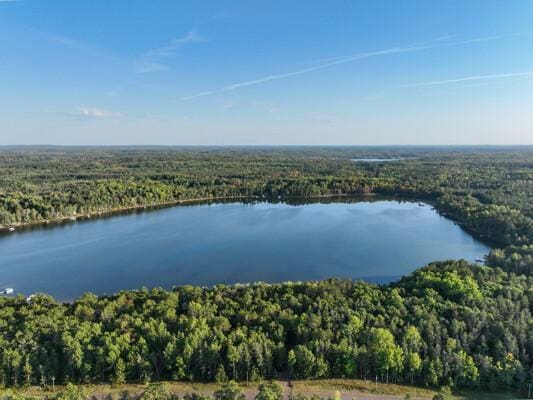 bird's eye view featuring a water view and a forest view