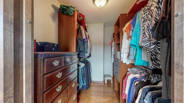 spacious closet with light hardwood / wood-style flooring