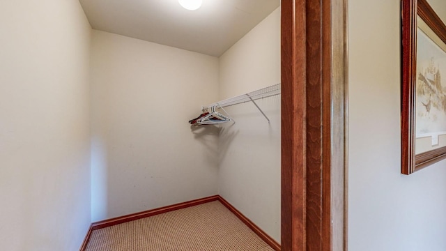 spacious closet with carpet flooring