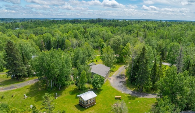 2228 Town Rd Unit 461, International Falls, MN 56649 - bird's eye view of a heavily wooded area