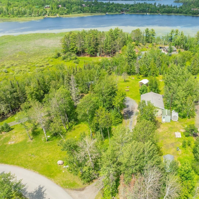2228 Town Rd Unit 461, International Falls, MN 56649 - bird's eye view of a nearby body of water