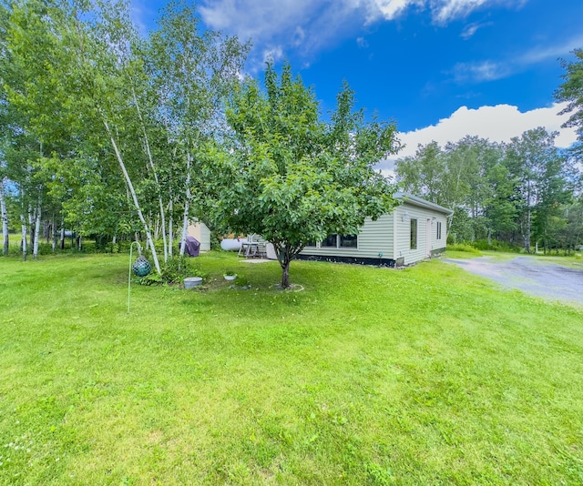 2228 Town Rd Unit 461, International Falls, MN 56649 - view of green lawn