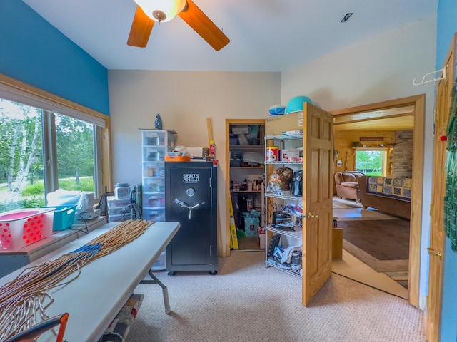 2228 Town Rd Unit 461, International Falls, MN 56649 - office area featuring carpet flooring, plenty of natural light, and ceiling fan