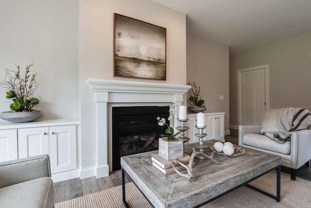 living room featuring light hardwood / wood-style flooring