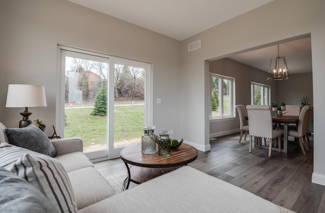 living room featuring a healthy amount of sunlight, an inviting chandelier, and hardwood / wood-style flooring