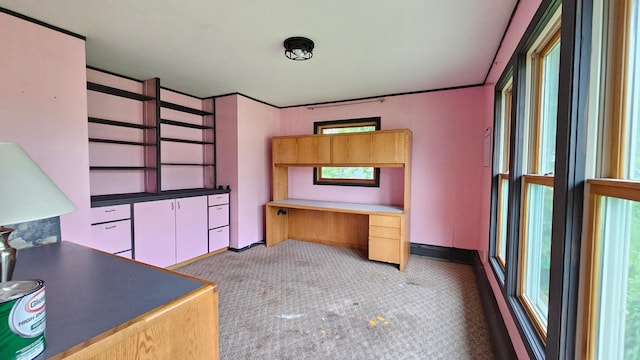 unfurnished office with light colored carpet