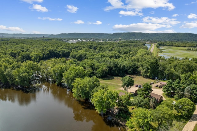 birds eye view of property with a forest view and a water and mountain view