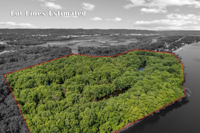 bird's eye view with a view of trees and a water view