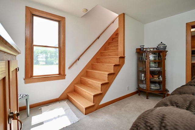 stairway with baseboards and carpet floors