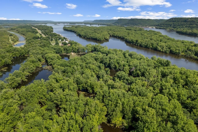 birds eye view of property featuring a view of trees and a water view