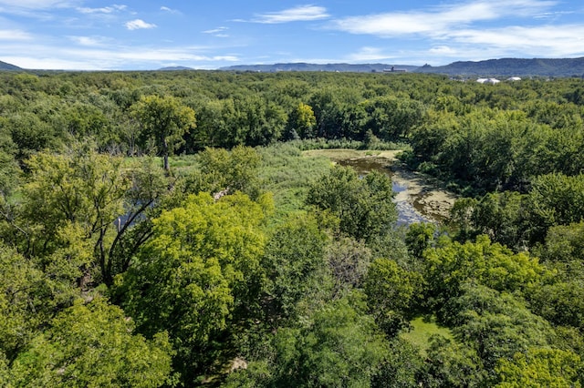 aerial view with a mountain view and a wooded view