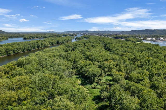 birds eye view of property featuring a water view and a wooded view