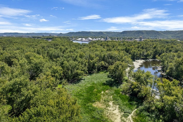 bird's eye view with a view of trees and a water and mountain view