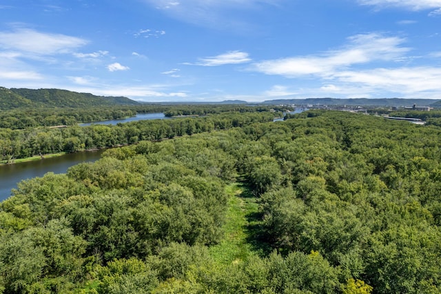 drone / aerial view featuring a forest view and a water and mountain view