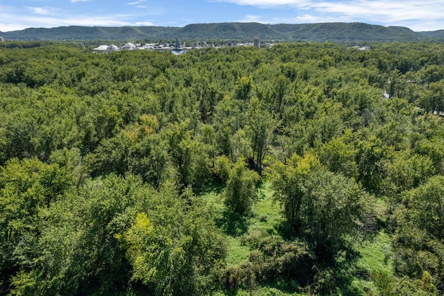 drone / aerial view with a view of trees and a mountain view