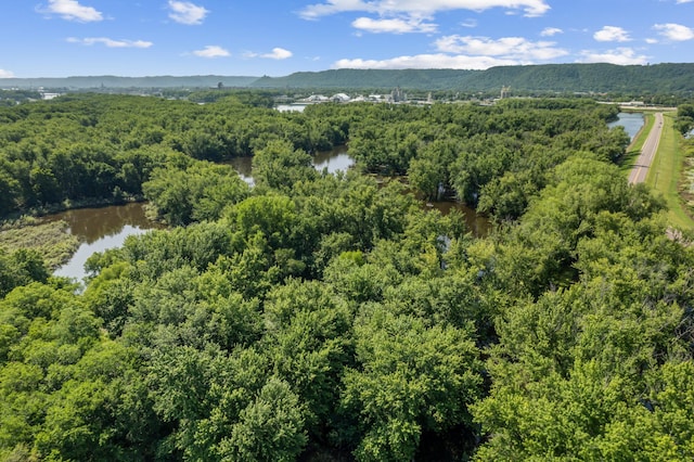 bird's eye view featuring a forest view and a water and mountain view