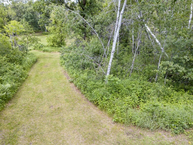 XXX Caribou St, Trommald MN, 56441 land for sale