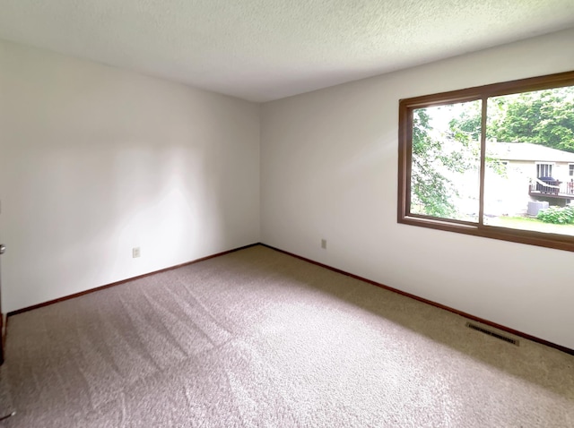 empty room featuring carpet flooring and a textured ceiling