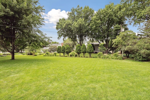 9642 Upton Rd, Minneapolis, MN 55431 - view of grassy yard
