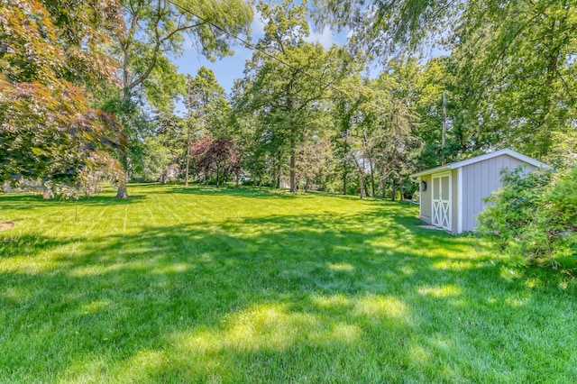 view of yard featuring a storage shed