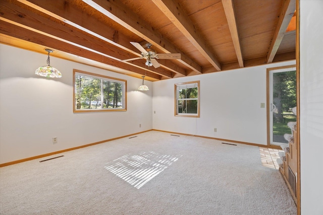 carpeted spare room with beamed ceiling, a wealth of natural light, and ceiling fan