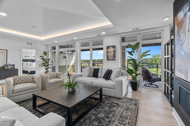 living room featuring a tray ceiling and wood-type flooring