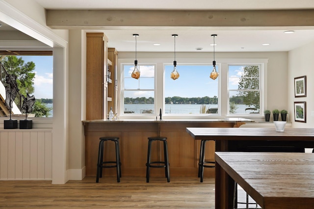 bar featuring pendant lighting, a water view, and light hardwood / wood-style flooring