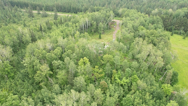 XXX Kestrel Ave, Tamarack MN, 55787 land for sale