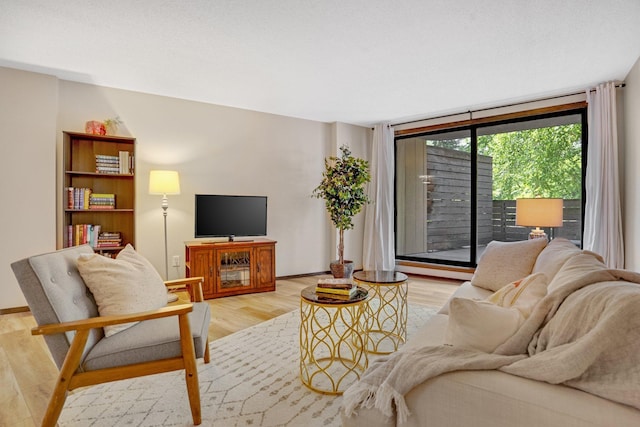 living area with baseboards and light wood-style floors