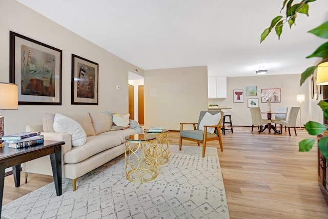 living room with light wood-type flooring